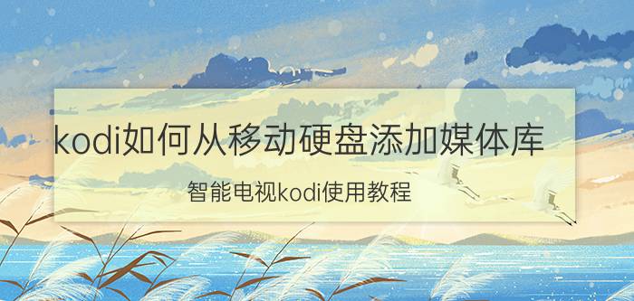 kodi如何从移动硬盘添加媒体库 智能电视kodi使用教程？